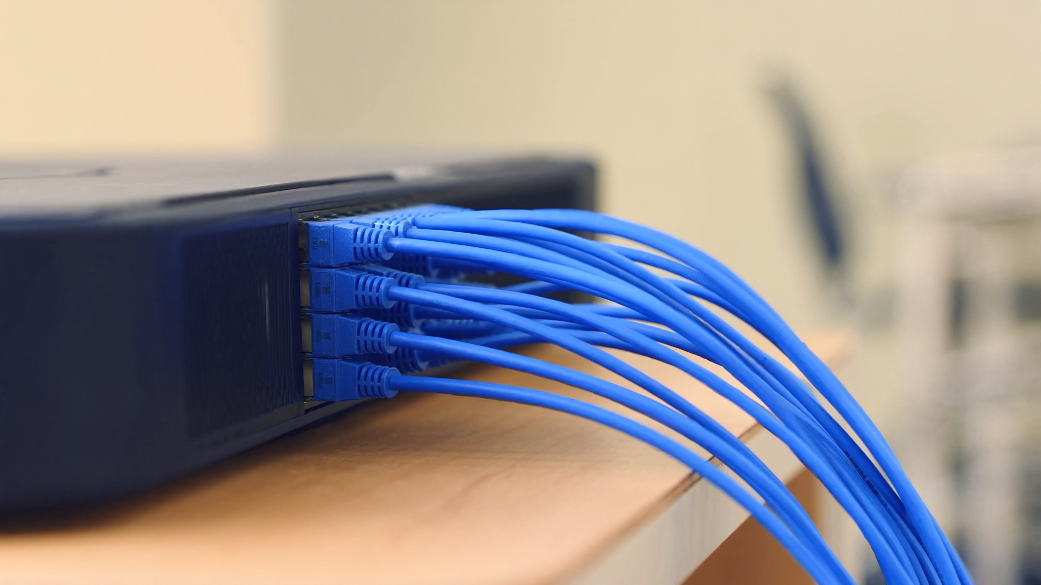 Brand-blue ethernet cables neatly bundled and plugged into a clean modern network device on a wooden desk